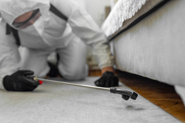 Professional Ant Control technician working in Bellville, TX