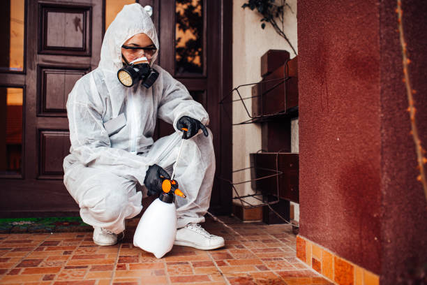 Reliable Ant Control contractor in Bellville, TX by Show Me Pest Control